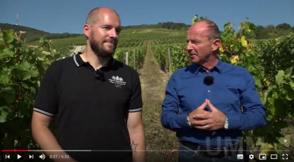 A Tokaj-Hétszőlő szőlőbirtokon 2009-ben változtattak a szőlő termesztéstechnológiáján és álltak át a bio művelésre.