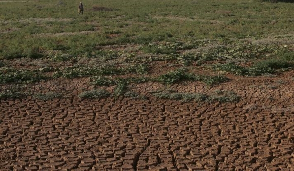 Kép forrása: Fotó: ©FAO/Mark Milstein
