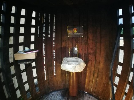 Fotó: Dora Sarchese Vineyard