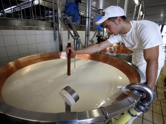 Tejsűrűséget mérnek egy olasz sajtgyárban - forrás: FAO